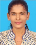 Kirubamani Palanichamy